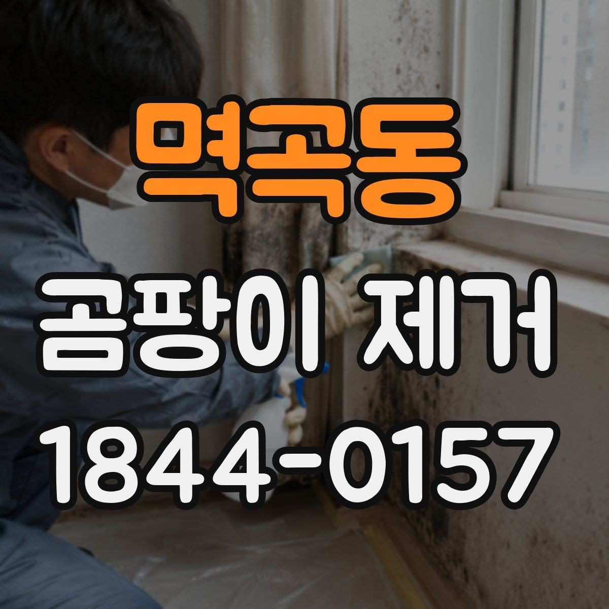 멱곡동 곰팡이 제거 실리콘 틈새 자국 관리 요령