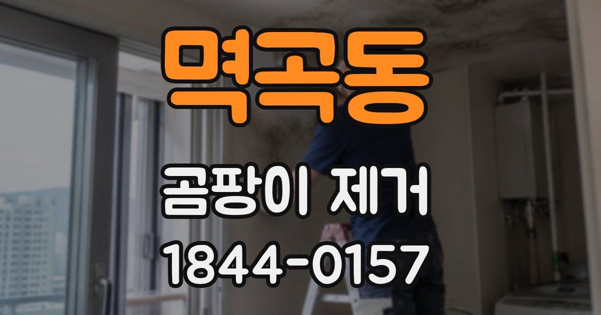 멱곡동 곰팡이 제거