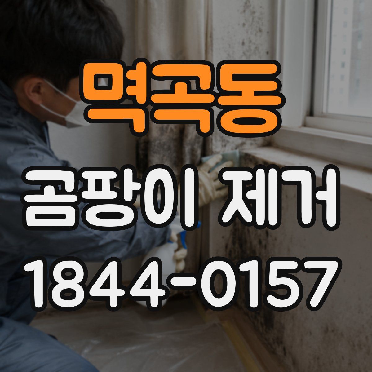 멱곡동 곰팡이 제거