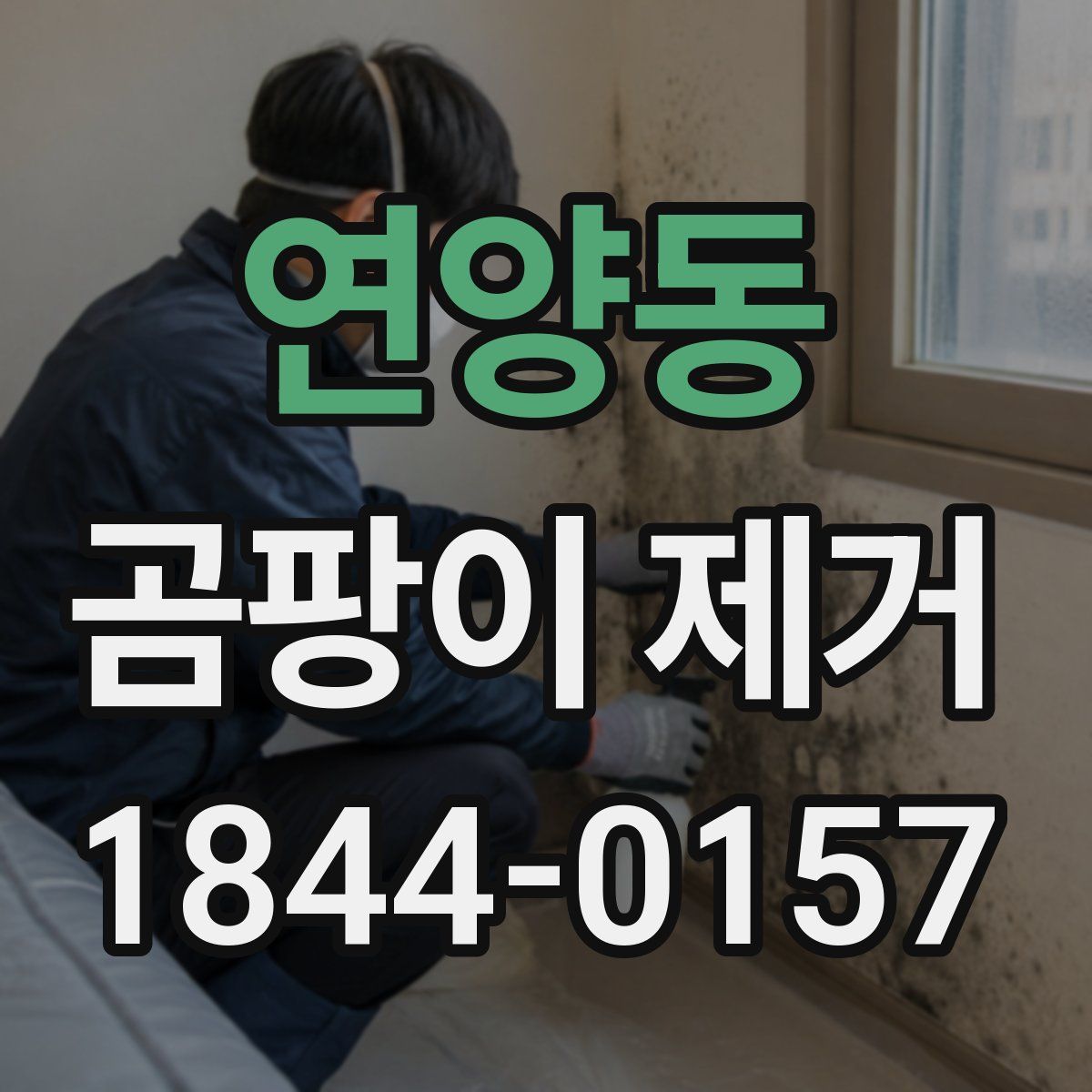 연양동 곰팡이 제거
