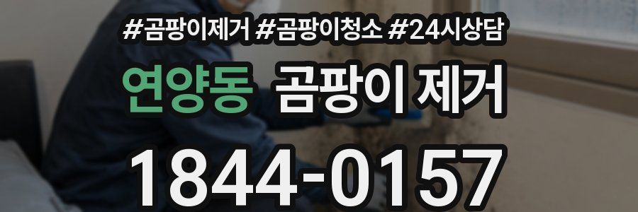 연양동 곰팡이 제거