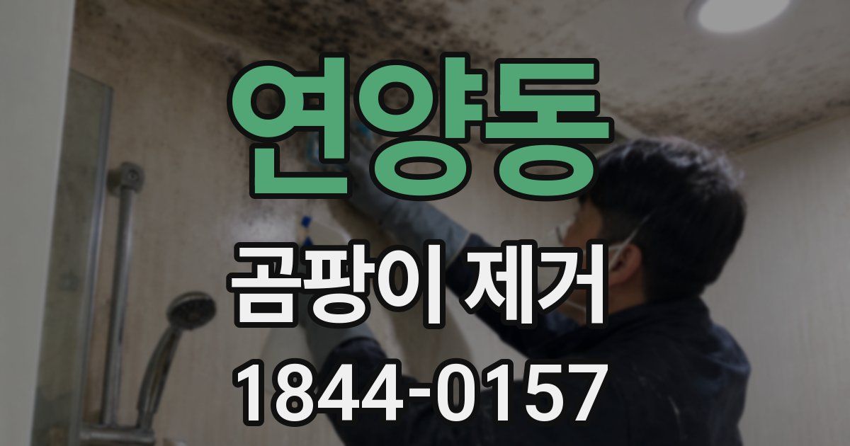 연양동 곰팡이 제거