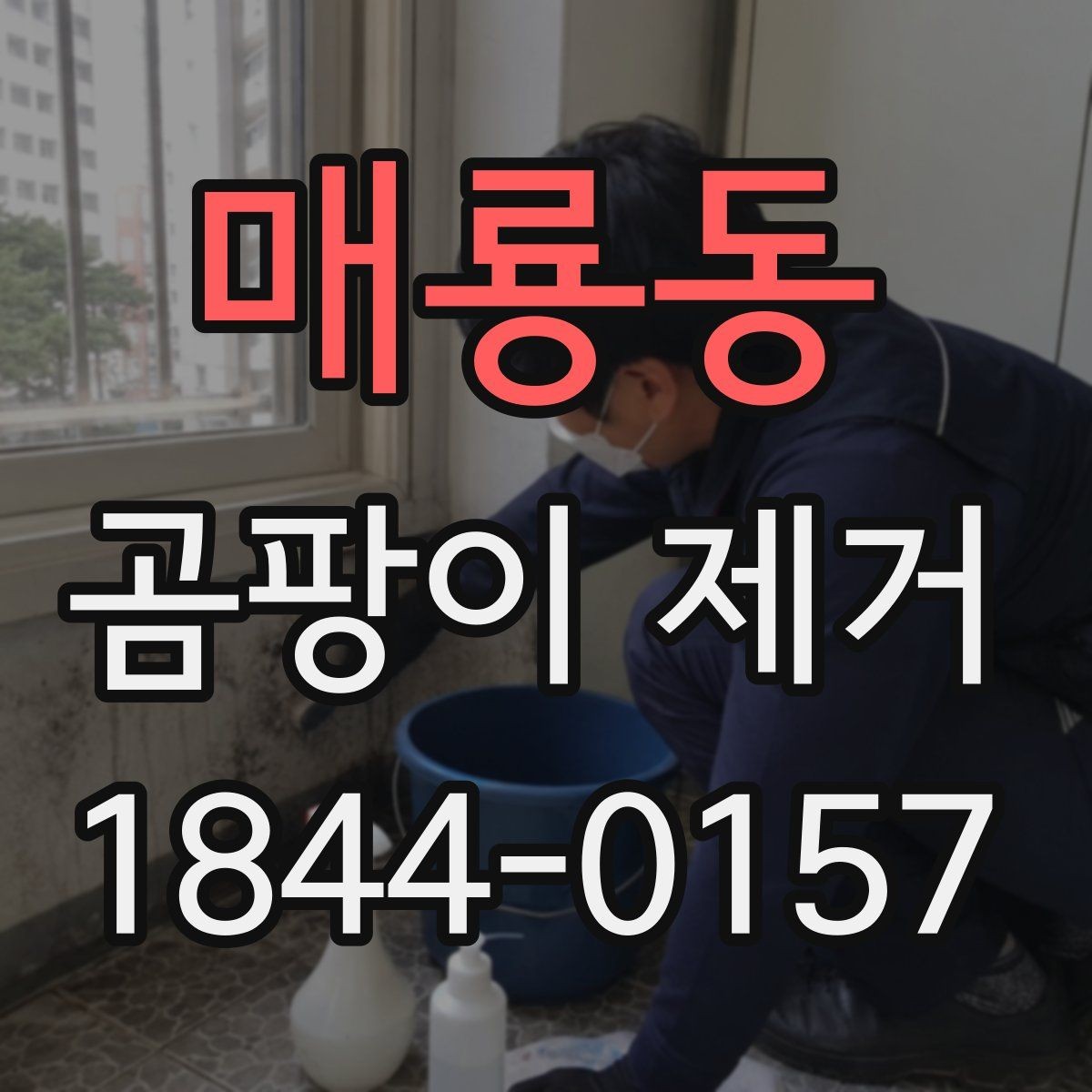 매룡동 곰팡이 제거 오래 방치한 자국을 다룰 때 주의점