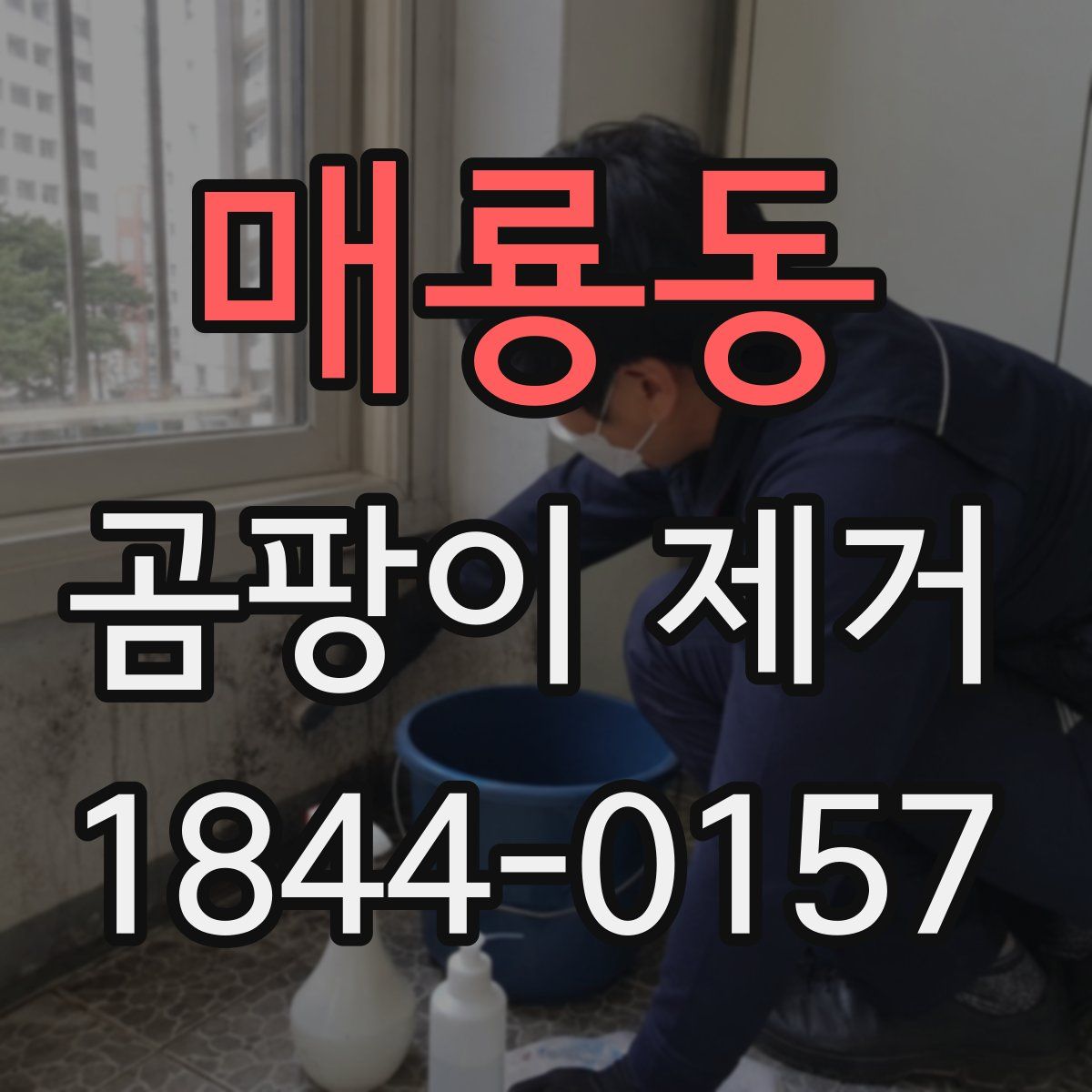 매룡동 곰팡이 제거