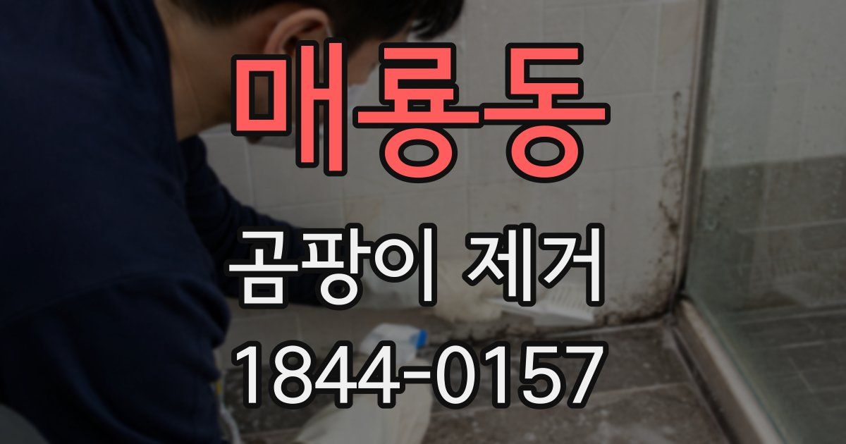 매룡동 곰팡이 제거