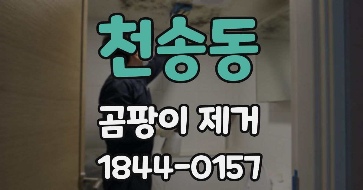 천송동 곰팡이 제거