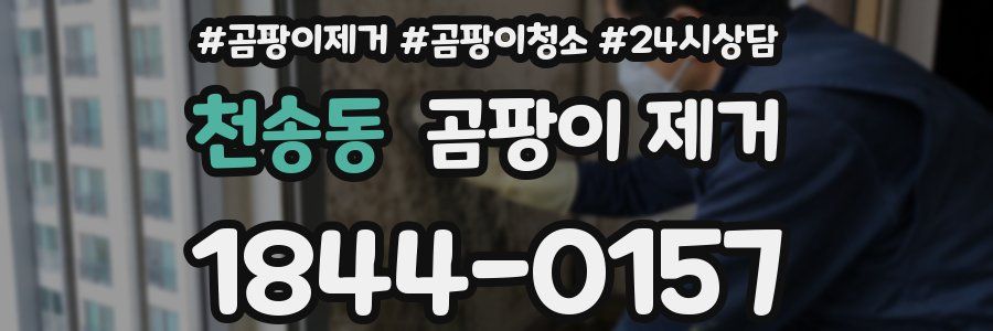 천송동 곰팡이 제거