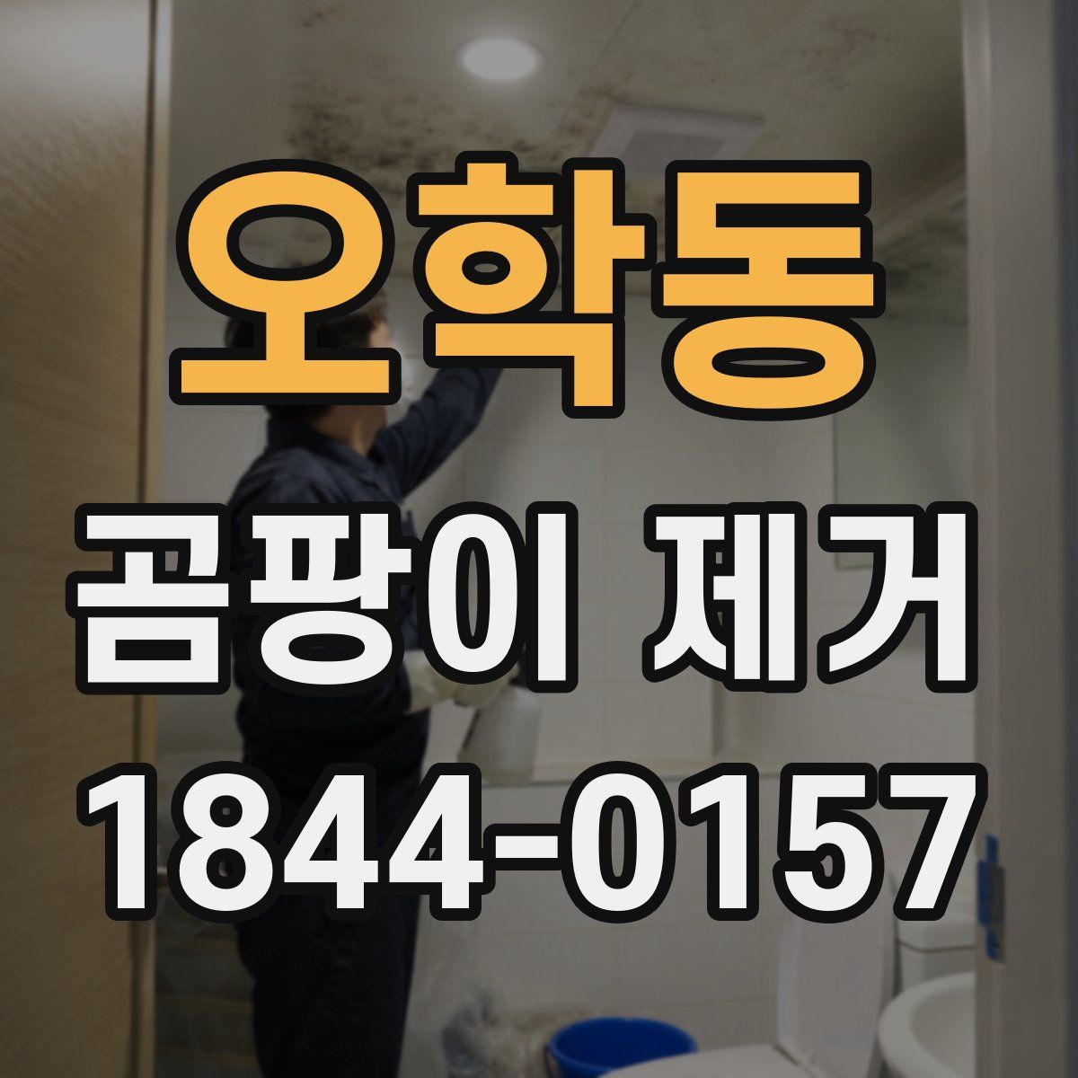 오학동 곰팡이 제거
