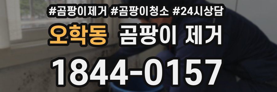 오학동 곰팡이 제거