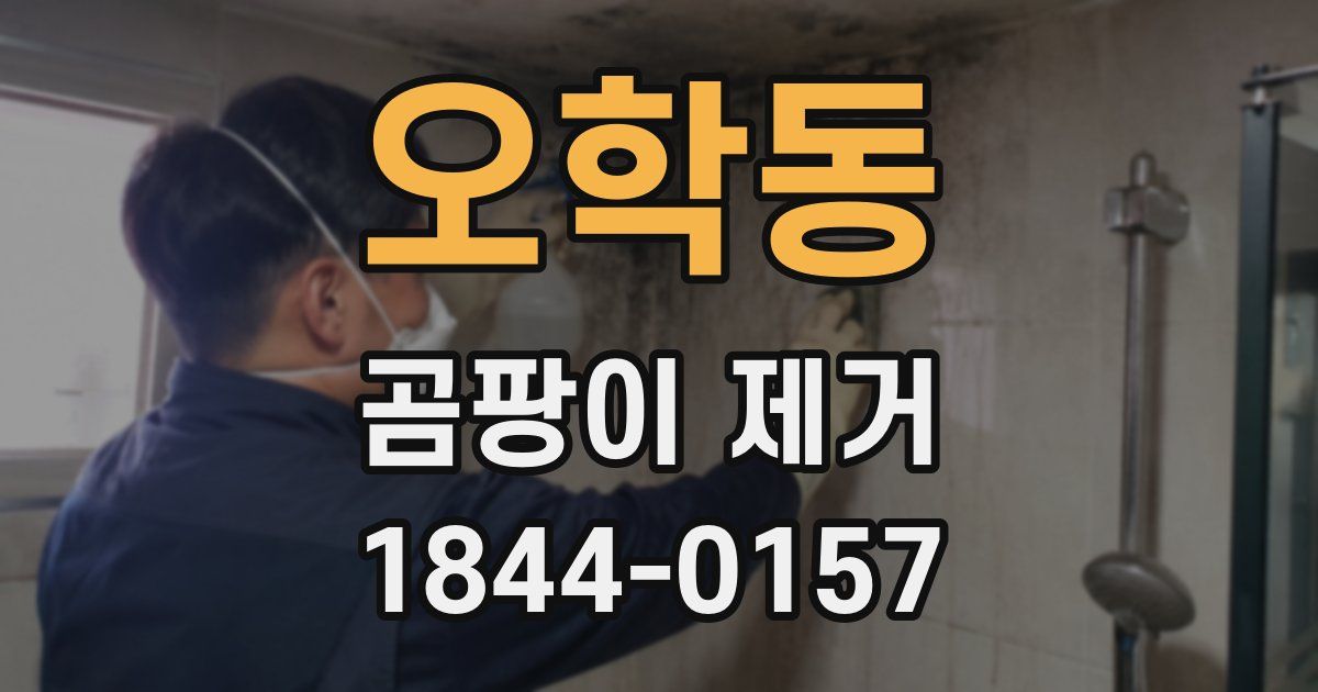 오학동 곰팡이 제거
