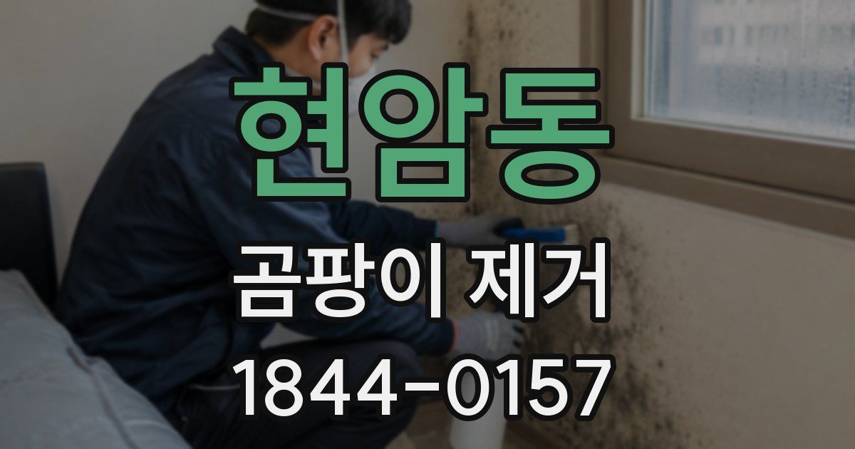 현암동 곰팡이 제거