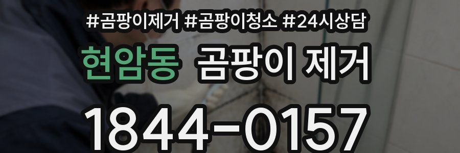 현암동 곰팡이 제거