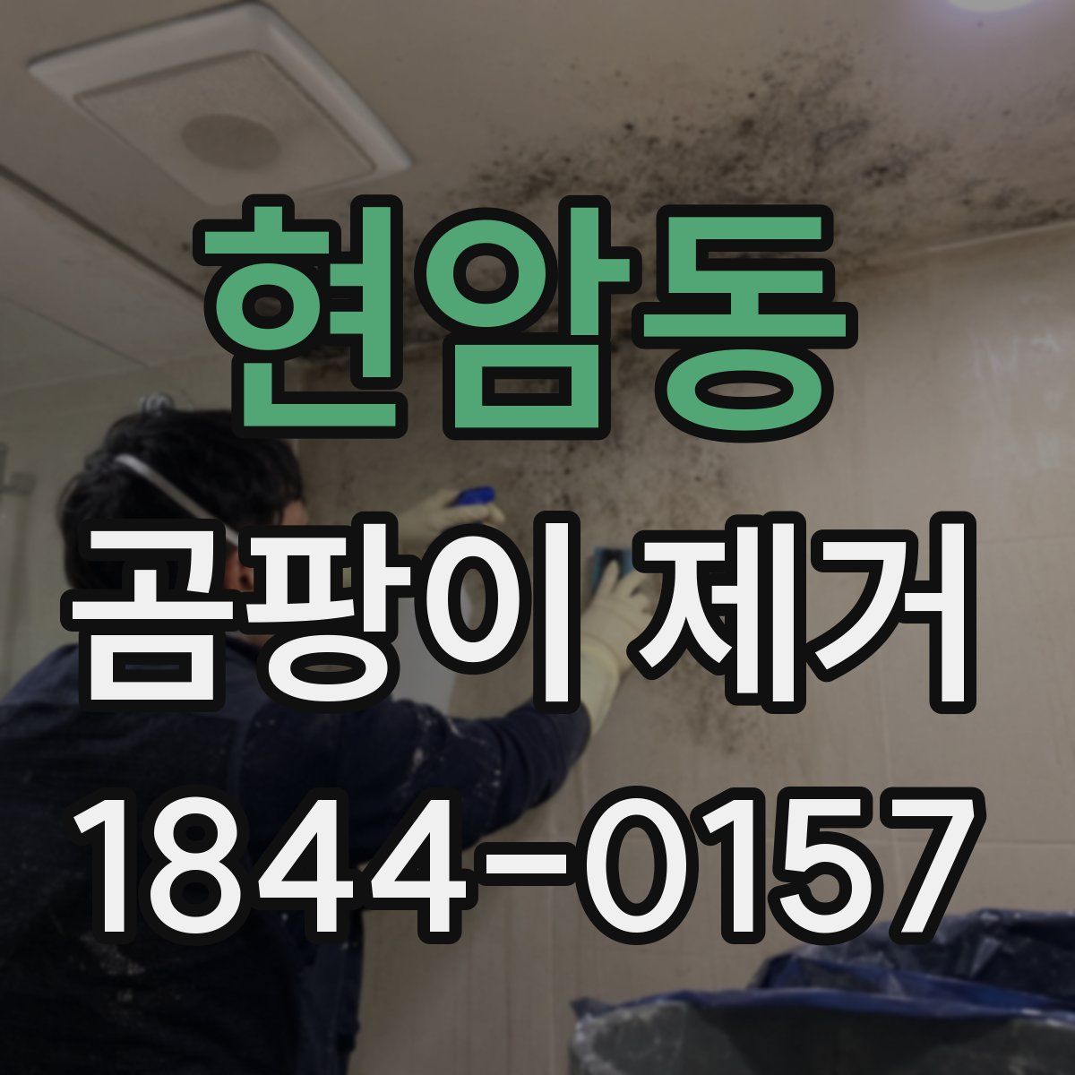 현암동 곰팡이 제거