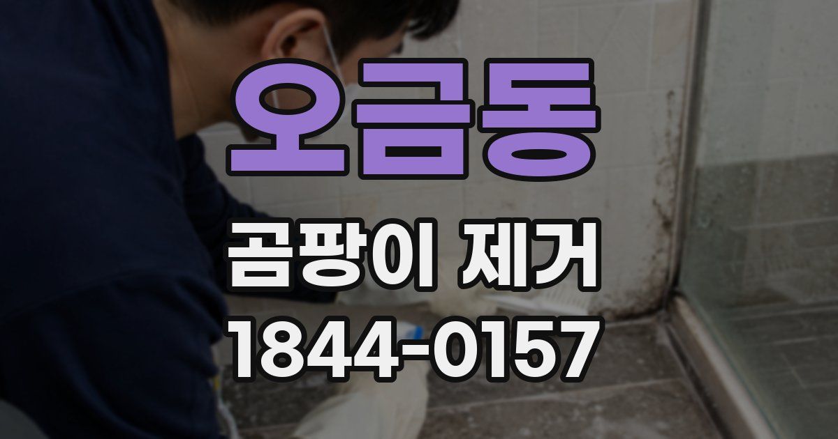 오금동 곰팡이 제거