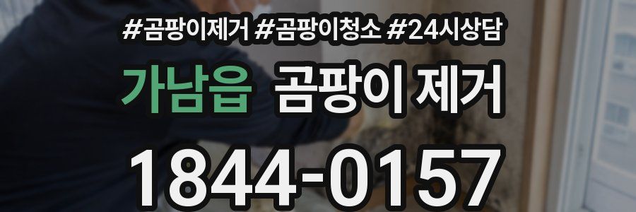가남읍 곰팡이 제거