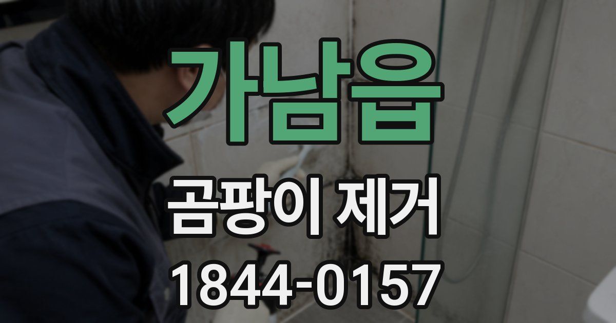 가남읍 곰팡이 제거
