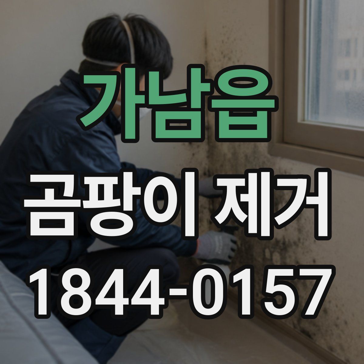 가남읍 곰팡이 제거