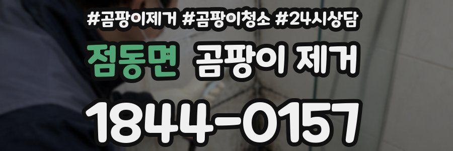 점동면 곰팡이 제거