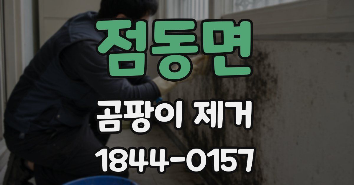 점동면 곰팡이 제거