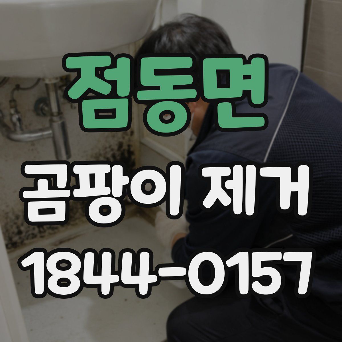 점동면 곰팡이 제거