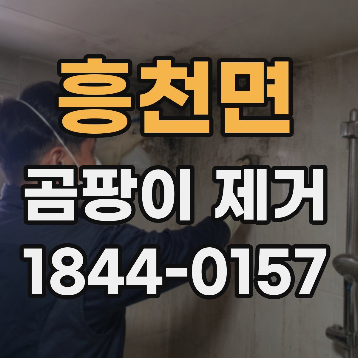 흥천면 곰팡이 제거