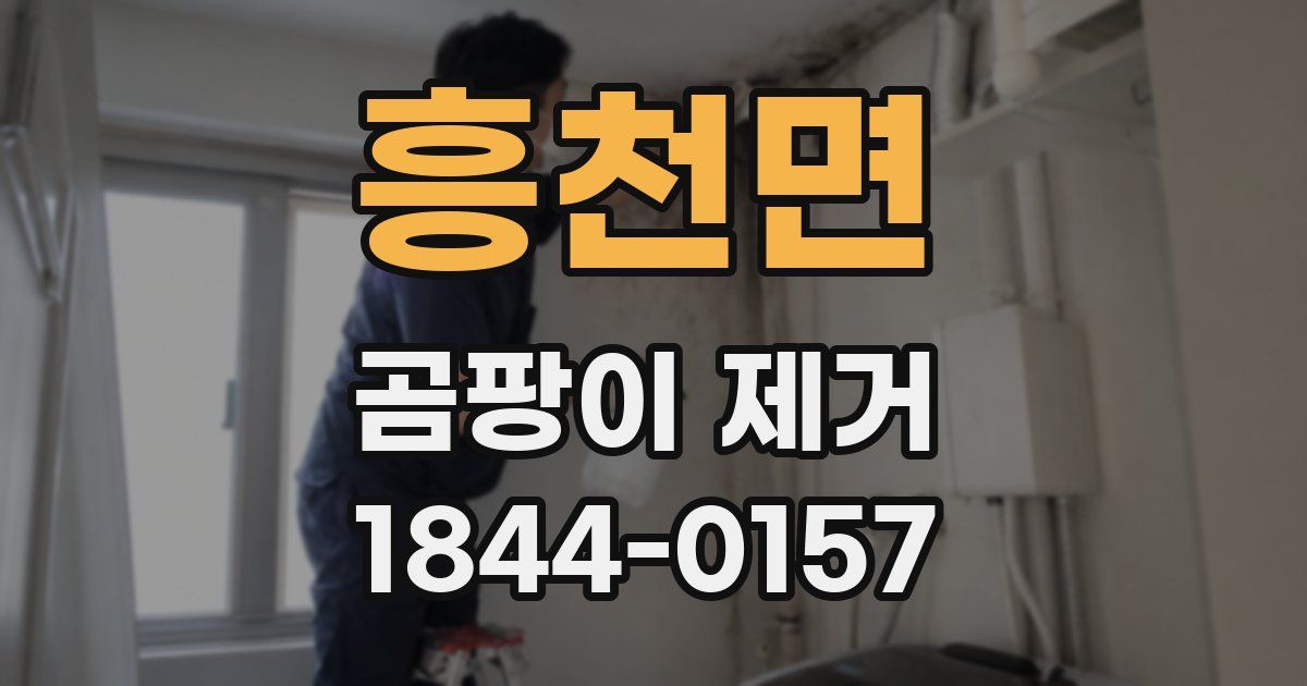 흥천면 곰팡이 제거