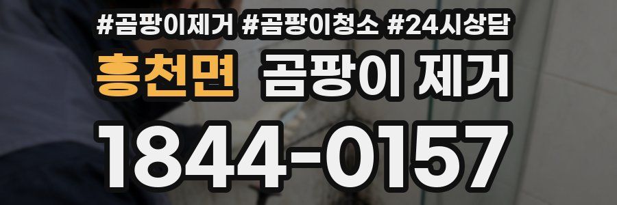 흥천면 곰팡이 제거
