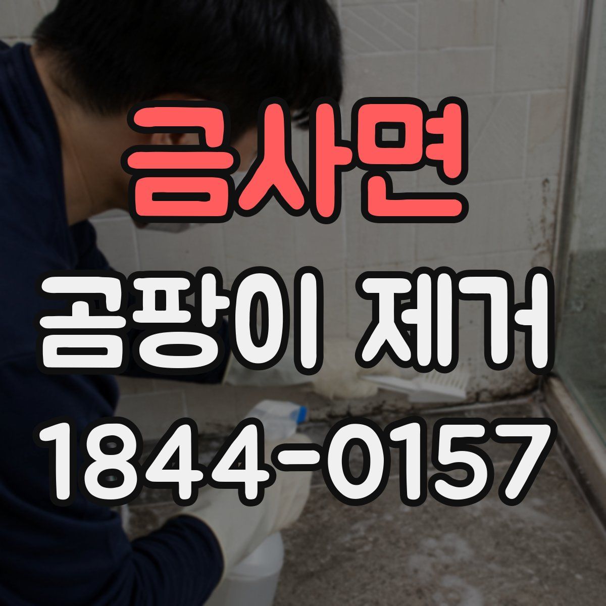 금사면 곰팡이 제거