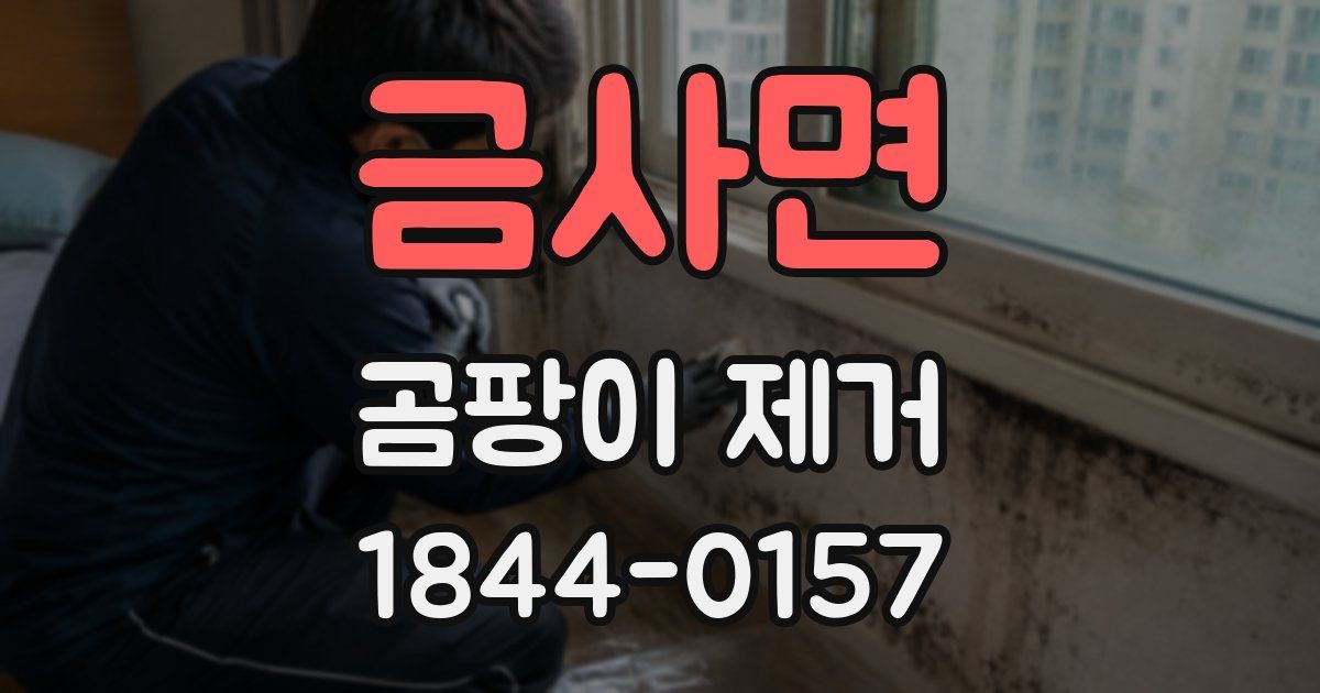 금사면 곰팡이 제거