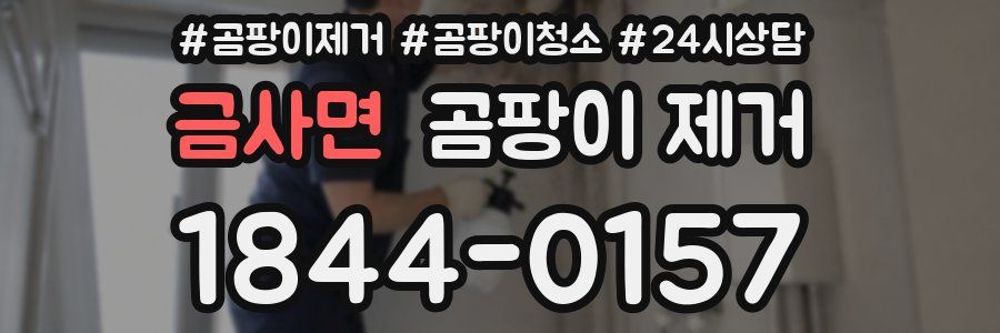 금사면 곰팡이 제거