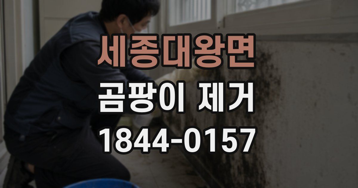 세종대왕면 곰팡이 제거
