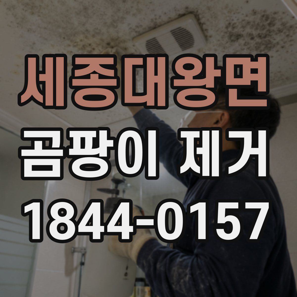 세종대왕면 곰팡이 제거