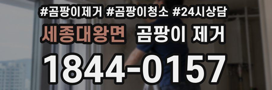 세종대왕면 곰팡이 제거