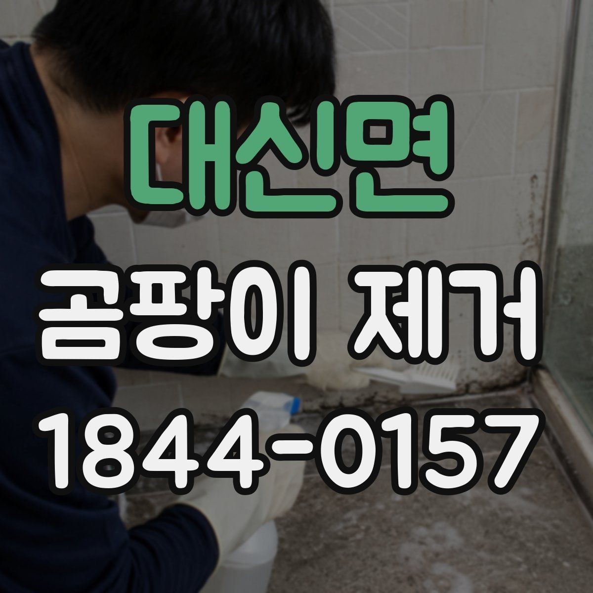 대신면 곰팡이 제거 벽지와 마감재별 대처 차이