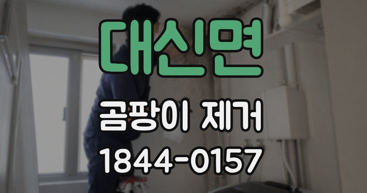 대신면 곰팡이 제거
