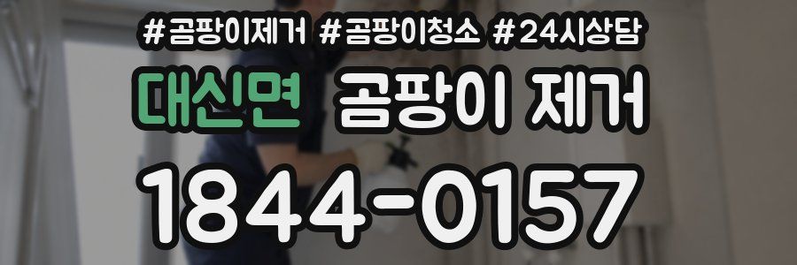 대신면 곰팡이 제거