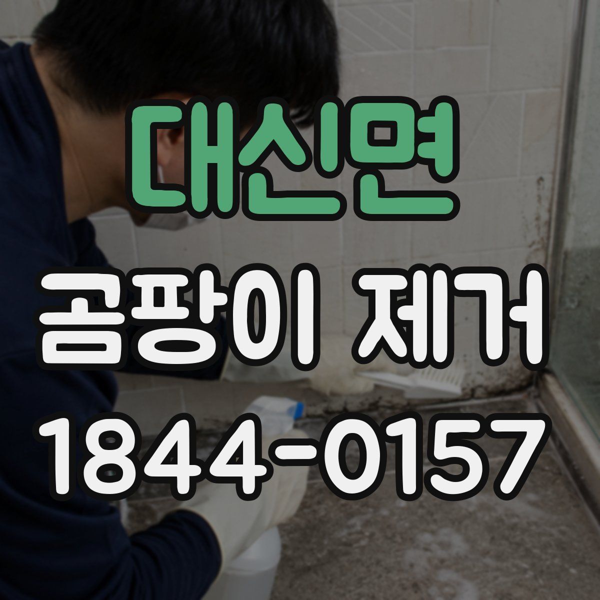 대신면 곰팡이 제거