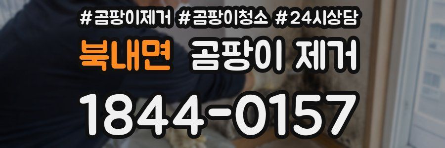북내면 곰팡이 제거