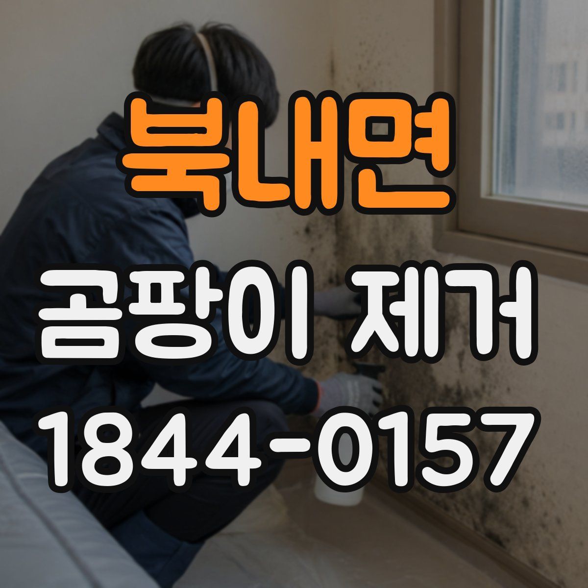 북내면 곰팡이 제거