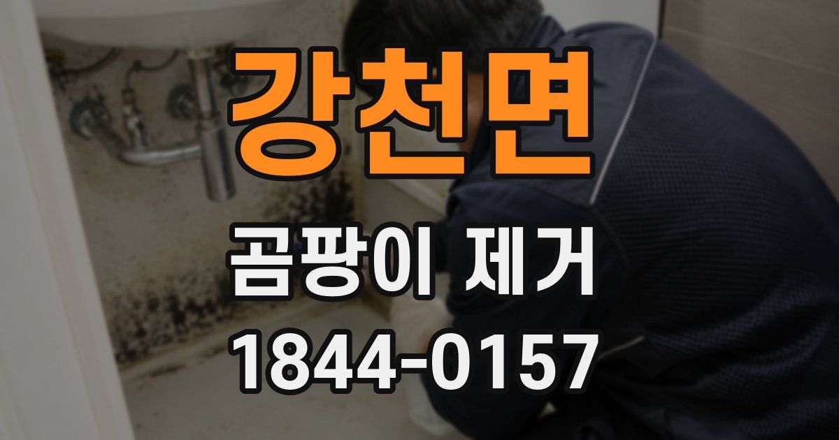 강천면 곰팡이 제거