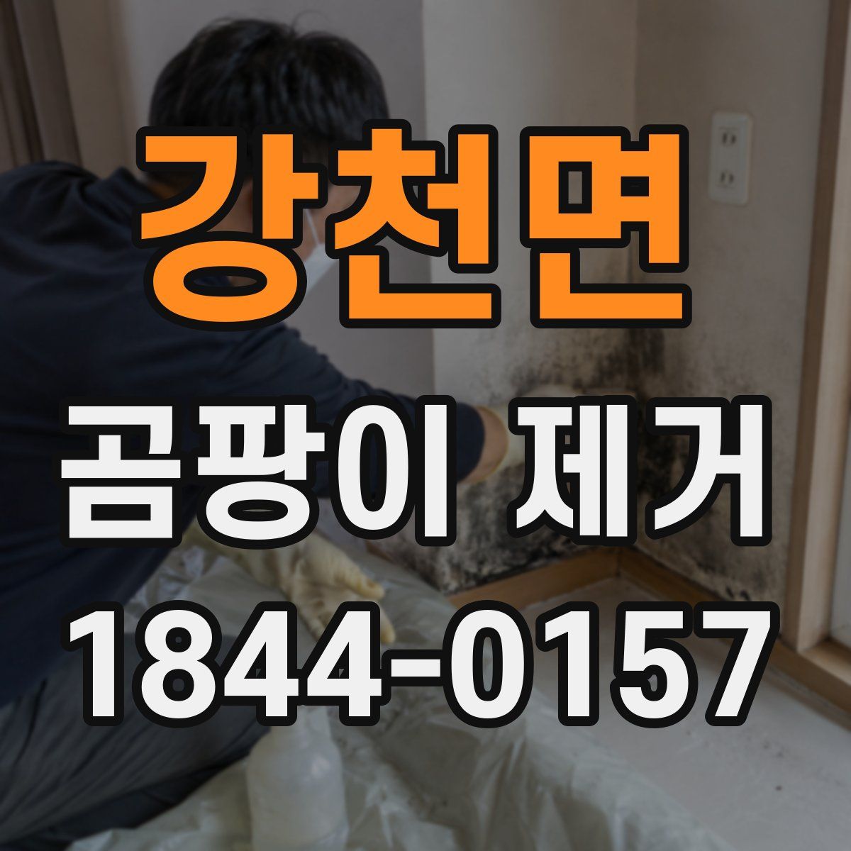 강천면 곰팡이 제거
