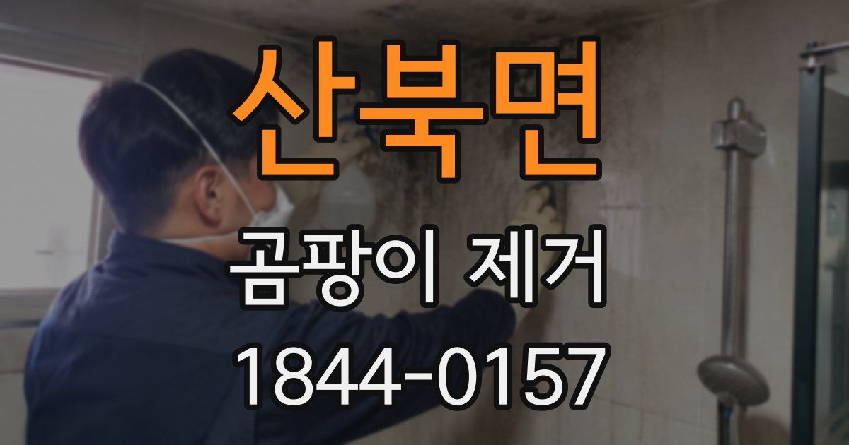 산북면 곰팡이 제거