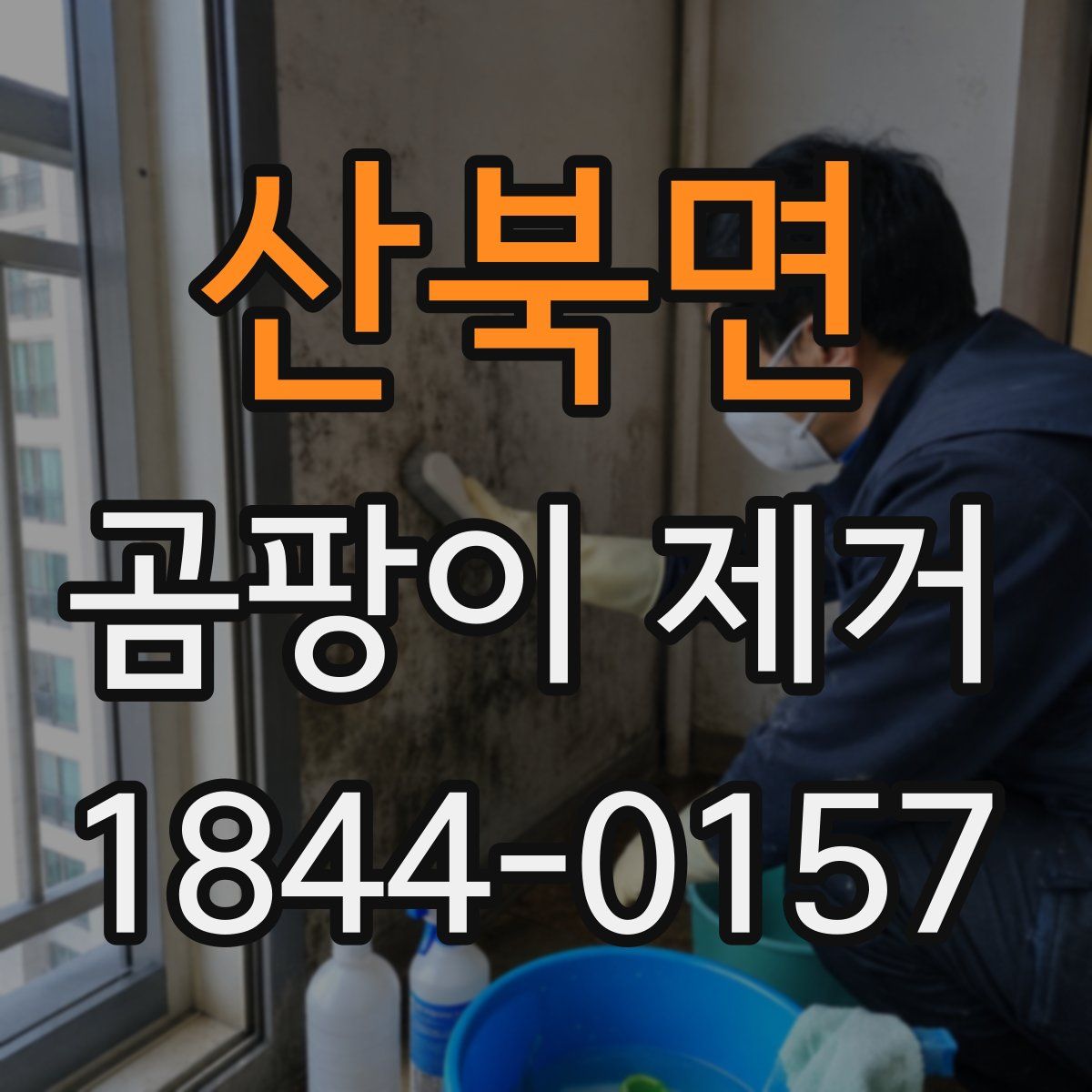 산북면 곰팡이 제거