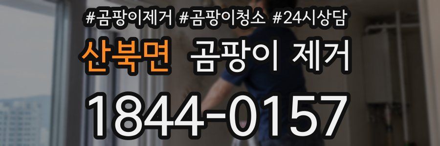 산북면 곰팡이 제거