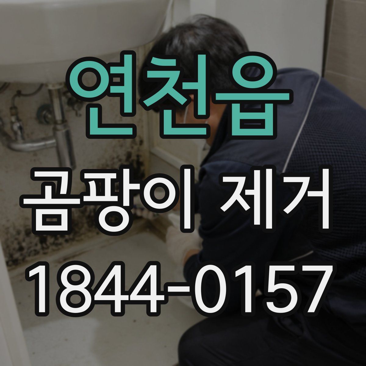 연천읍 곰팡이 제거