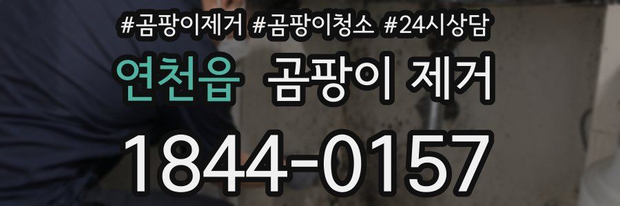연천읍 곰팡이 제거