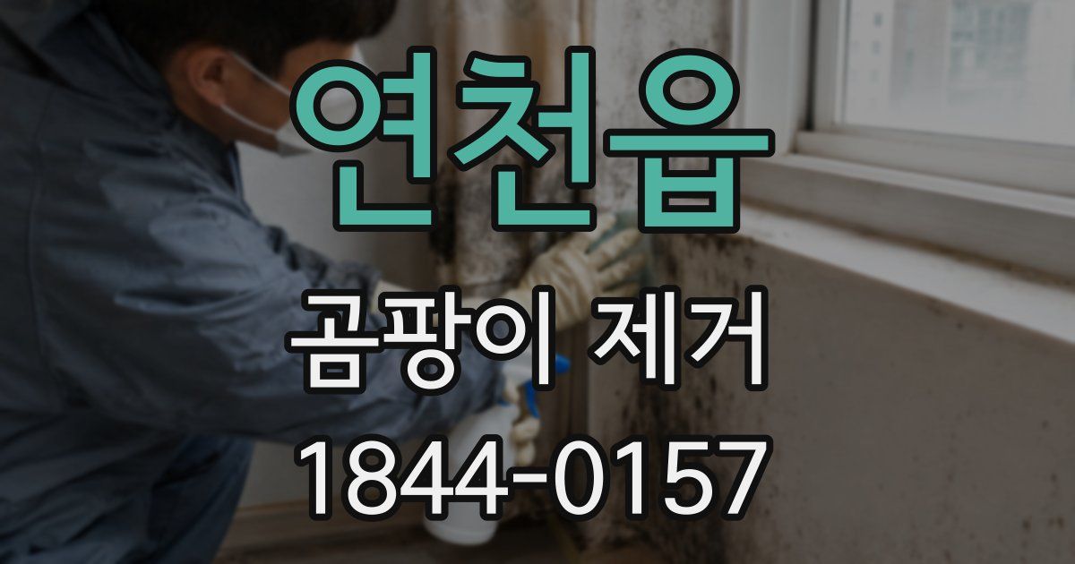 연천읍 곰팡이 제거
