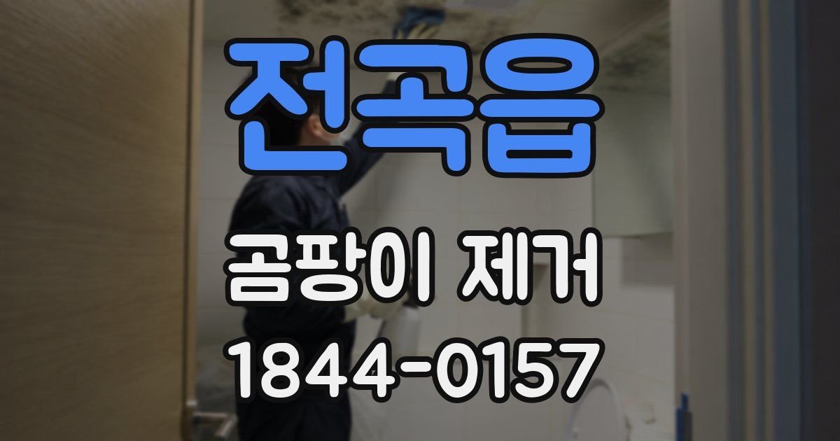 전곡읍 곰팡이 제거