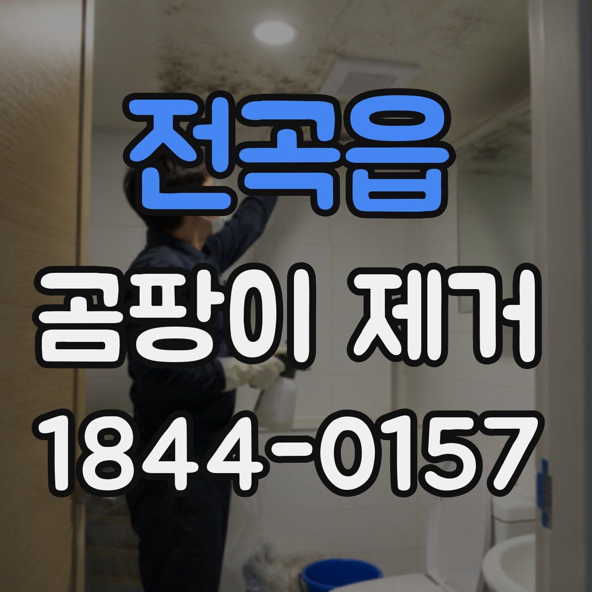전곡읍 곰팡이 제거