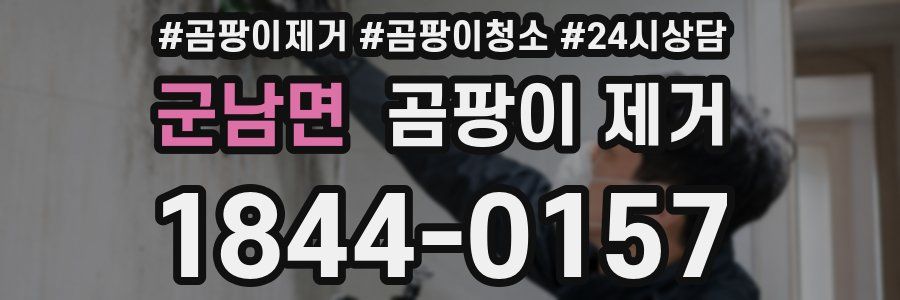 군남면 곰팡이 제거